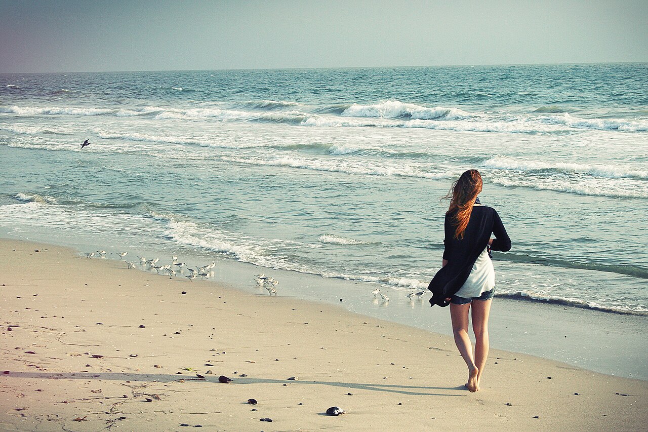 A woman walks alone on a beach facing the ocean waves as seagulls fly near the shore.